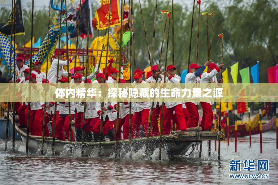 体内精华：探秘隐藏的生命力量之源