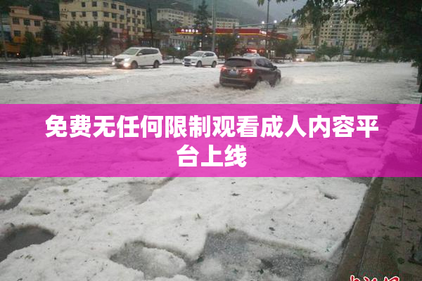 免费无任何限制观看成人内容平台上线