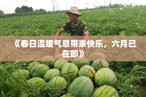 《春日温暖气息带来快乐，六月已在即》