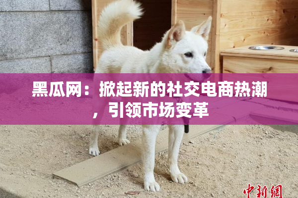 黑瓜网：掀起新的社交电商热潮，引领市场变革