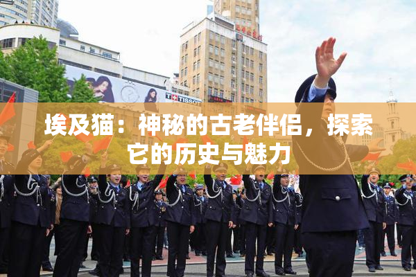 埃及猫：神秘的古老伴侣，探索它的历史与魅力
