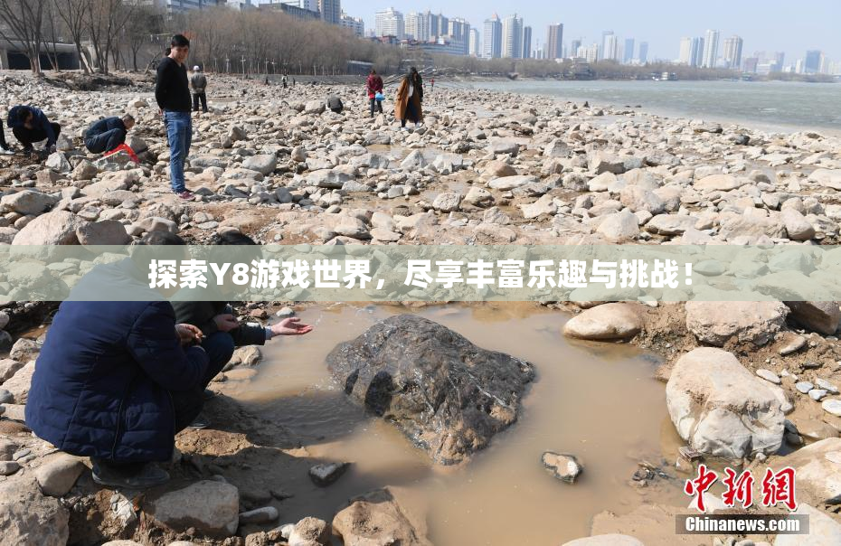 探索Y8游戏世界，尽享丰富乐趣与挑战！