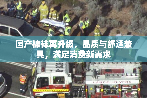 国产棉袜再升级，品质与舒适兼具，满足消费新需求