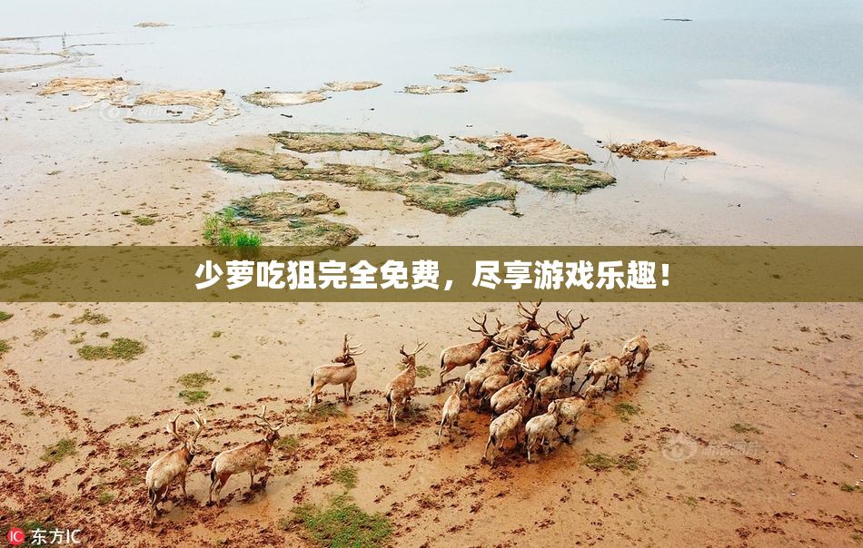少萝吃狙完全免费，尽享游戏乐趣！