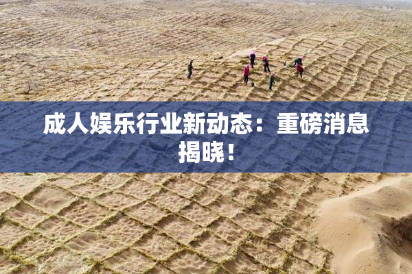 成人娱乐行业新动态：重磅消息揭晓！