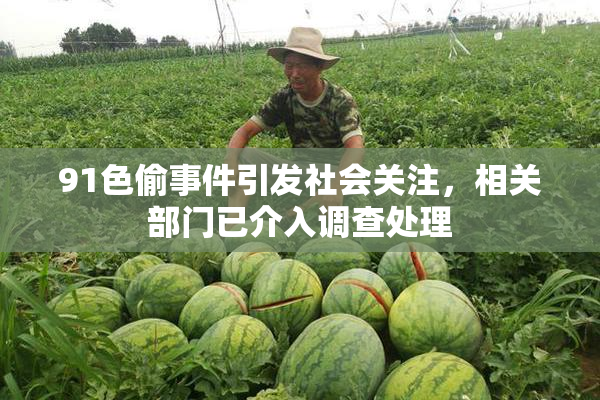 91色偷事件引发社会关注，相关部门已介入调查处理
