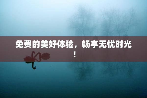 免费的美好体验，畅享无忧时光！