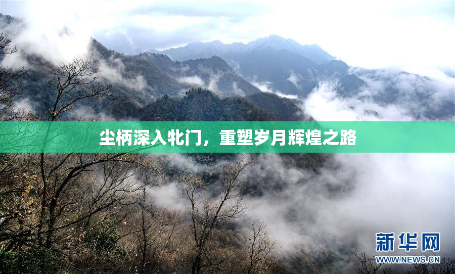 尘柄深入牝门，重塑岁月辉煌之路