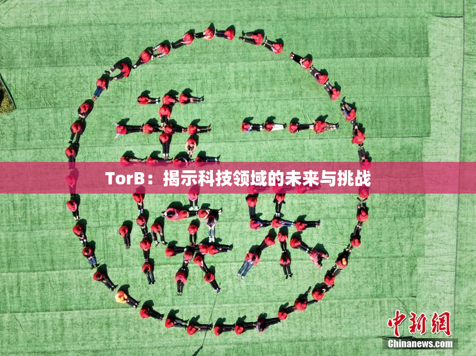 TorB：揭示科技领域的未来与挑战