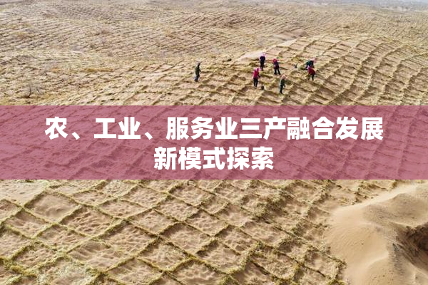农、工业、服务业三产融合发展新模式探索