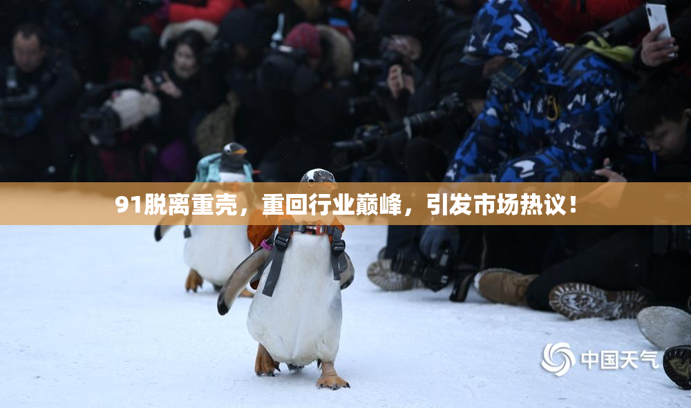 91脱离重壳，重回行业巅峰，引发市场热议！