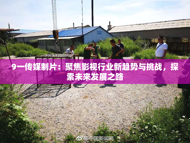 9一传媒制片：聚焦影视行业新趋势与挑战，探索未来发展之路