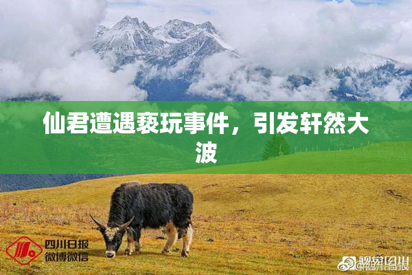 仙君遭遇亵玩事件，引发轩然大波