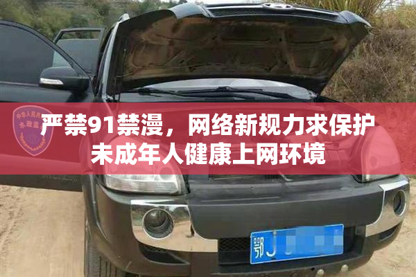 严禁91禁漫，网络新规力求保护未成年人健康上网环境