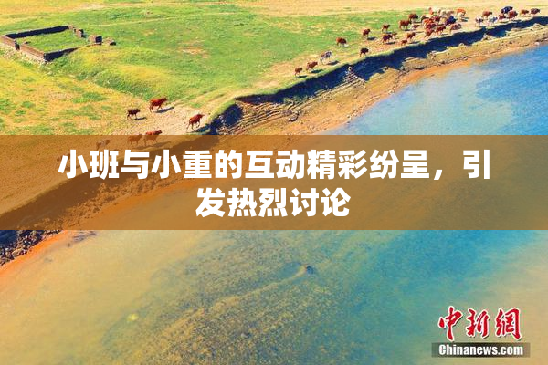 小班与小重的互动精彩纷呈，引发热烈讨论