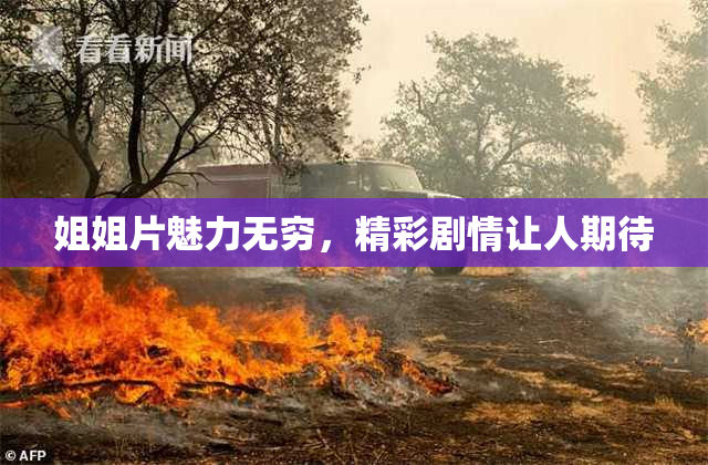 姐姐片魅力无穷，精彩剧情让人期待