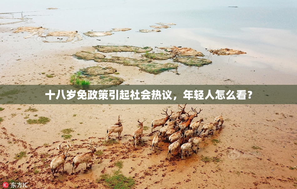 十八岁免政策引起社会热议，年轻人怎么看？