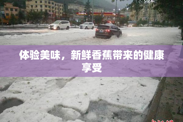 体验美味，新鲜香蕉带来的健康享受