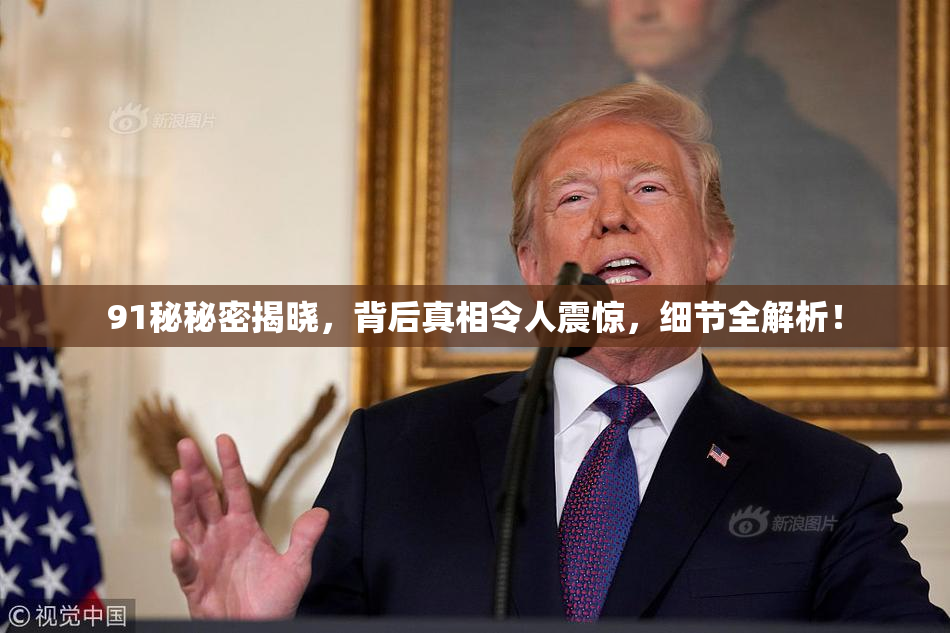 91秘秘密揭晓，背后真相令人震惊，细节全解析！