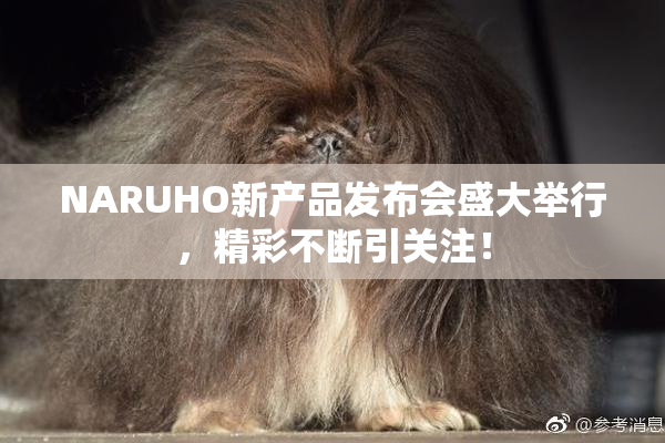 NARUHO新产品发布会盛大举行，精彩不断引关注！