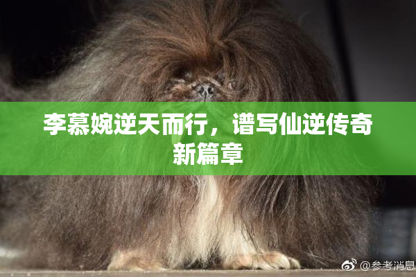李慕婉逆天而行，谱写仙逆传奇新篇章