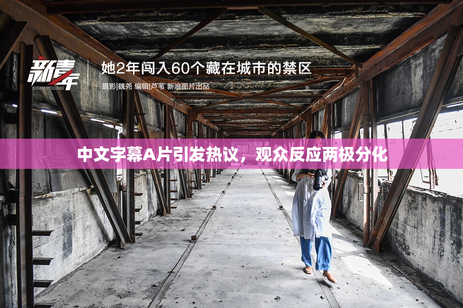 中文字幕A片引发热议，观众反应两极分化
