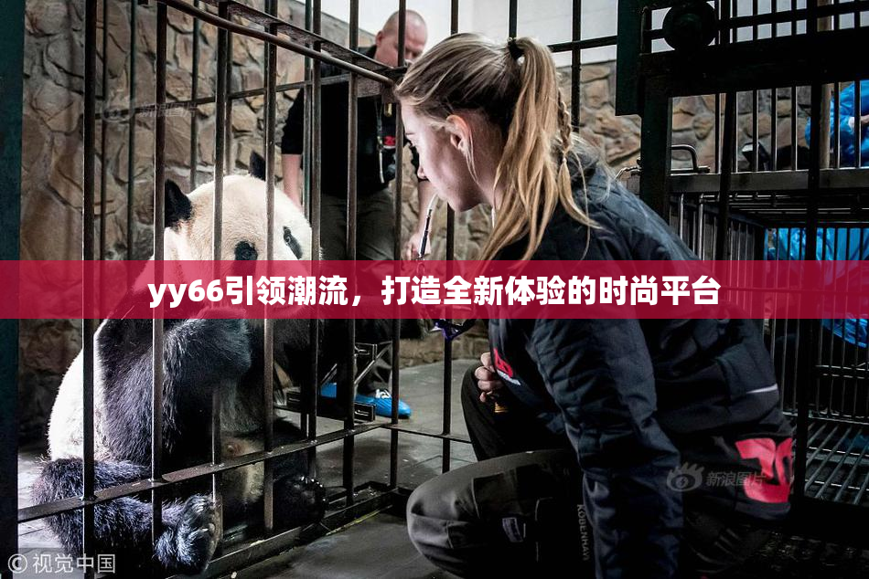 yy66引领潮流，打造全新体验的时尚平台
