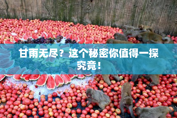 甘雨无尽？这个秘密你值得一探究竟！