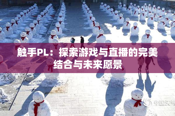 触手PL：探索游戏与直播的完美结合与未来愿景