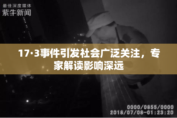 17·3事件引发社会广泛关注，专家解读影响深远