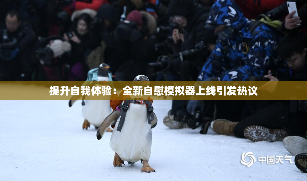 提升自我体验：全新自慰模拟器上线引发热议