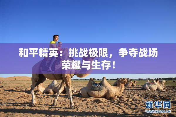 和平精英：挑战极限，争夺战场荣耀与生存！