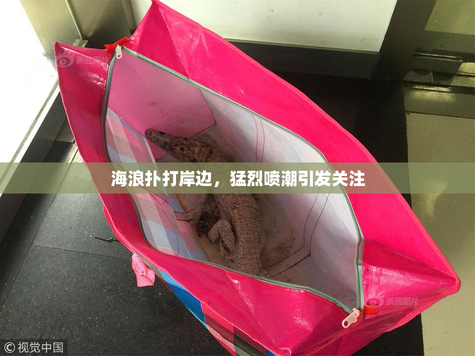 海浪扑打岸边，猛烈喷潮引发关注