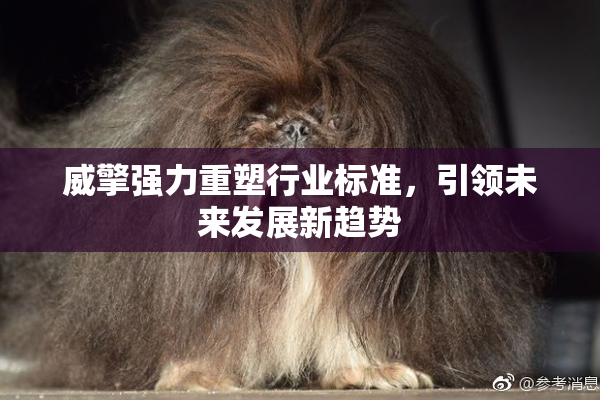 威擎强力重塑行业标准，引领未来发展新趋势