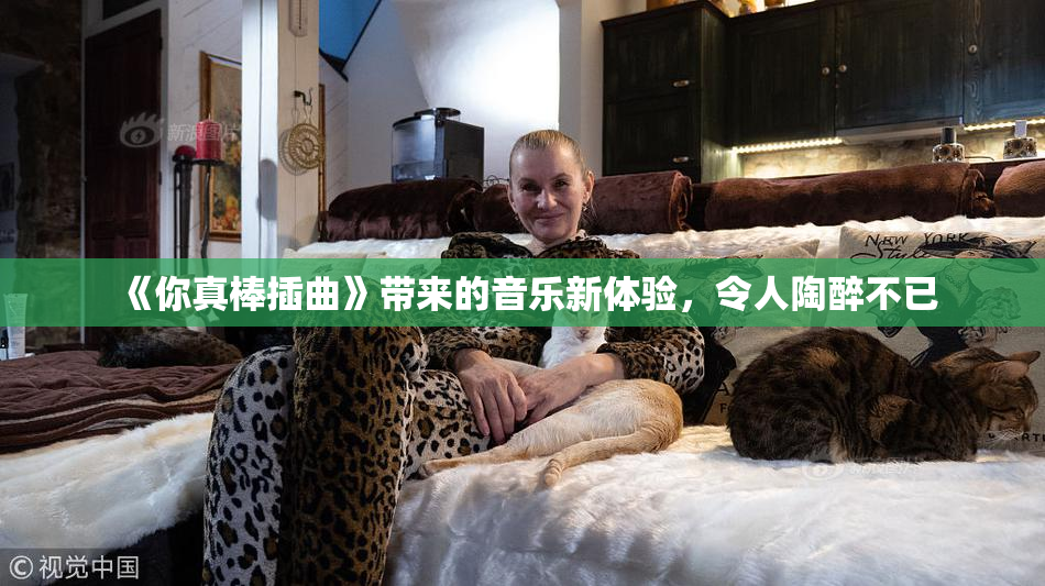 《你真棒插曲》带来的音乐新体验，令人陶醉不已
