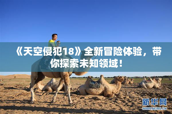 《天空侵犯18》全新冒险体验，带你探索未知领域！
