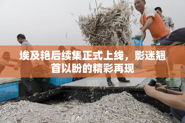 埃及艳后续集正式上线，影迷翘首以盼的精彩再现