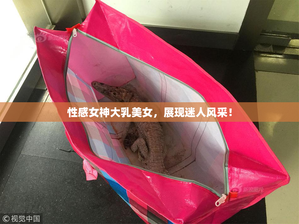性感女神大乳美女，展现迷人风采！