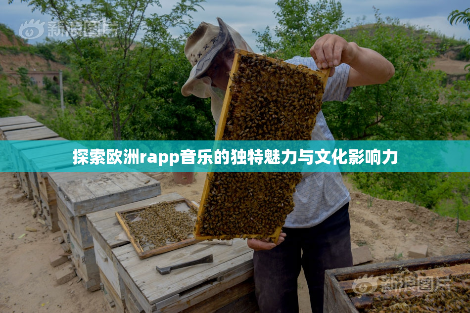 探索欧洲rapp音乐的独特魅力与文化影响力