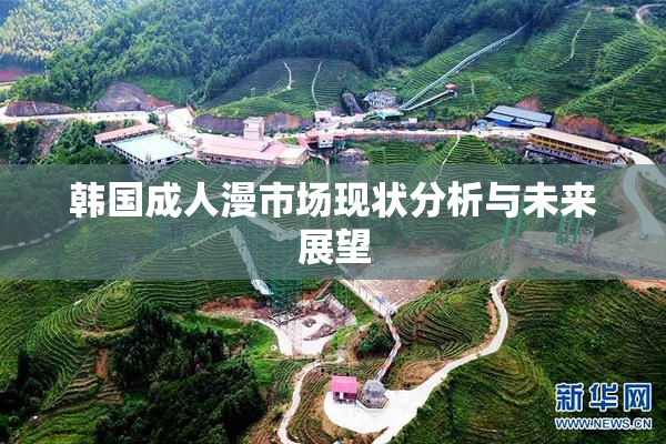 韩国成人漫市场现状分析与未来展望