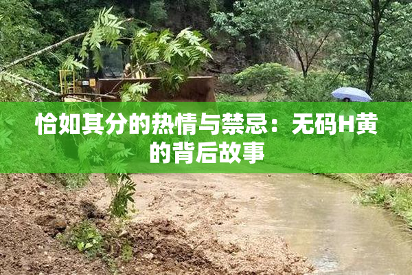 恰如其分的热情与禁忌：无码H黄的背后故事
