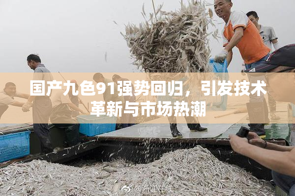 国产九色91强势回归，引发技术革新与市场热潮