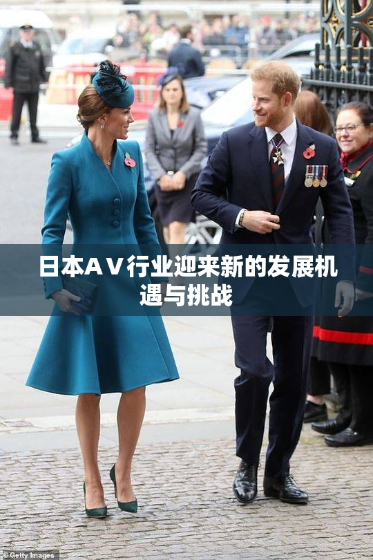日本AⅤ行业迎来新的发展机遇与挑战