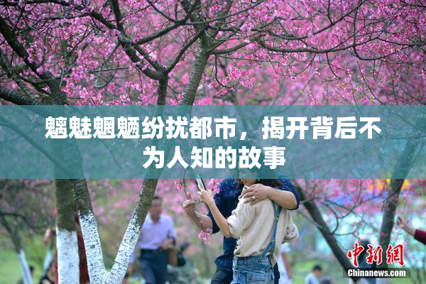 魑魅魍魉纷扰都市，揭开背后不为人知的故事