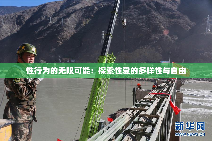 性行为的无限可能：探索性爱的多样性与自由