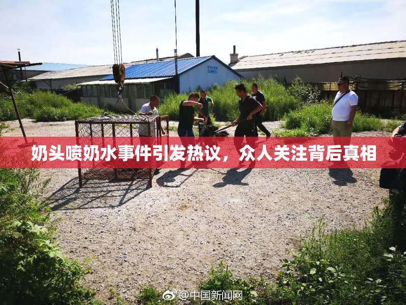 奶头喷奶水事件引发热议，众人关注背后真相
