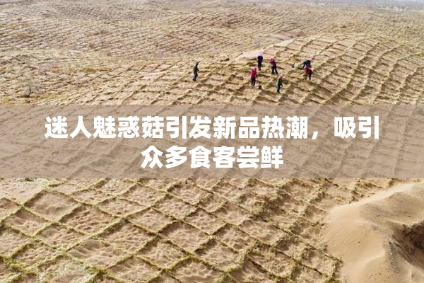 迷人魅惑菇引发新品热潮，吸引众多食客尝鲜