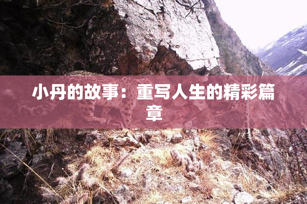 小丹的故事：重写人生的精彩篇章