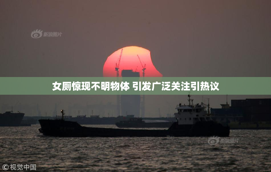 女厕惊现不明物体 引发广泛关注引热议