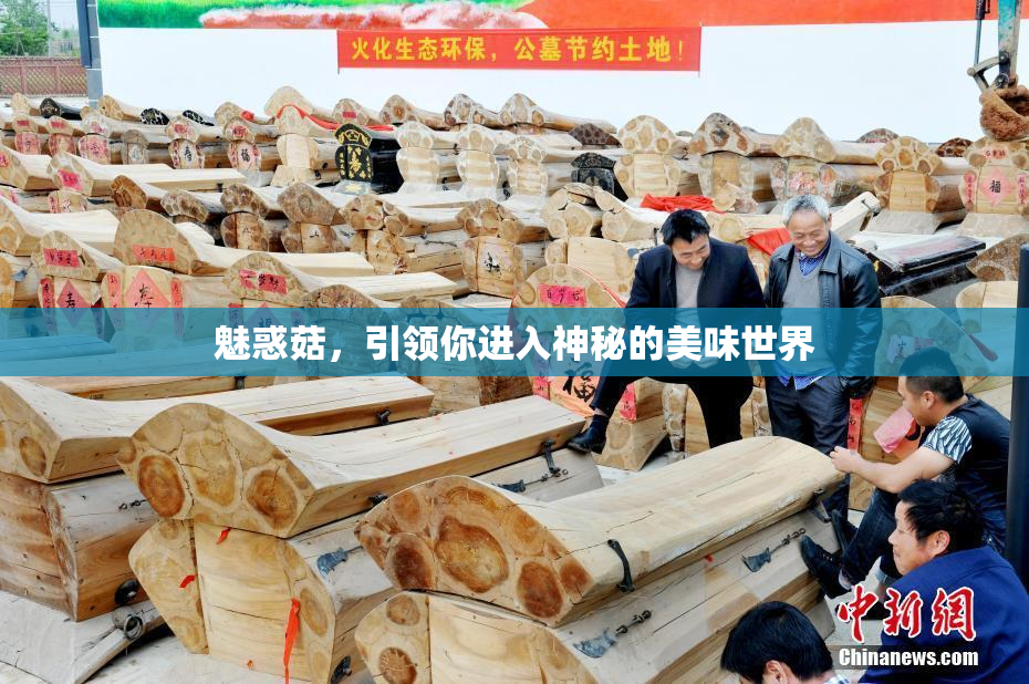 魅惑菇，引领你进入神秘的美味世界